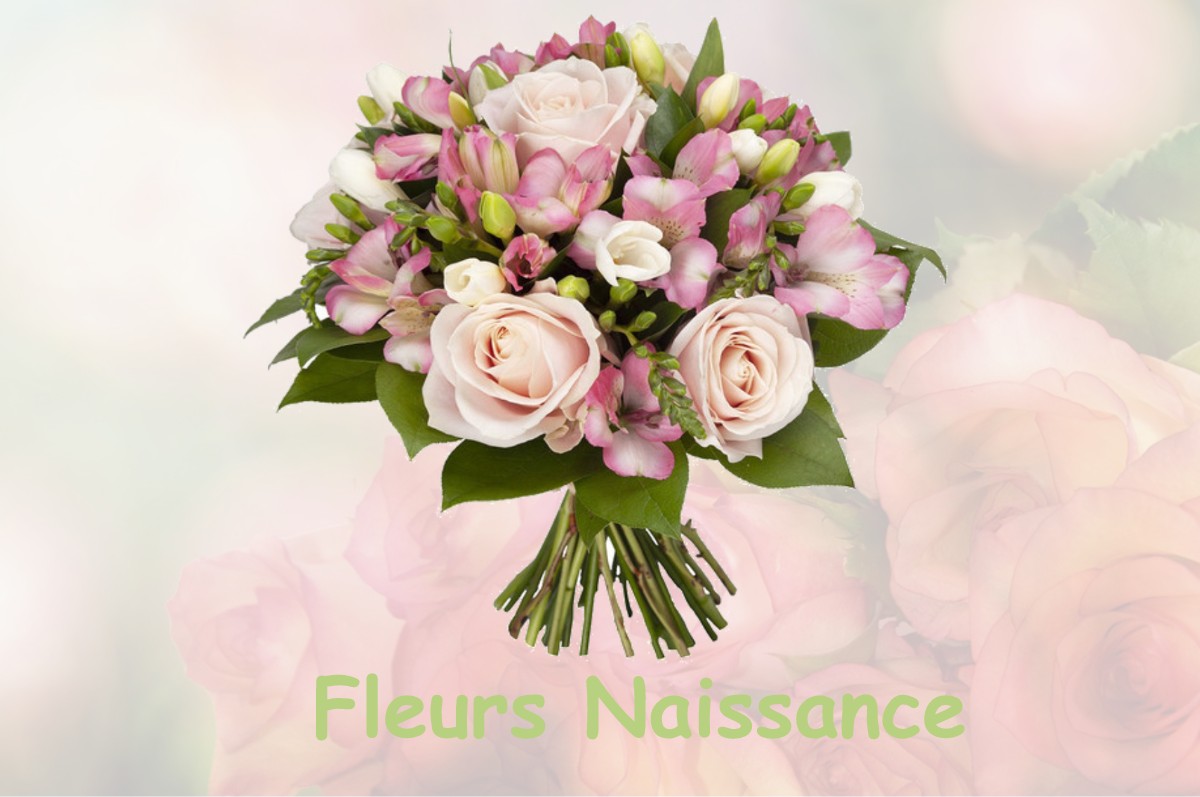 fleurs naissance MARSAC-EN-LIVRADOIS